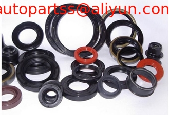 China high quality TC Oil seal  30*42*11 41*53*8 OEM China Manufacturer FKM hydraulic oil seal for gearbox supplier